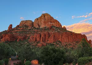 Деревья у подножия гор Седоны